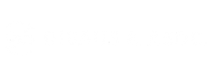 Logo Dibaus